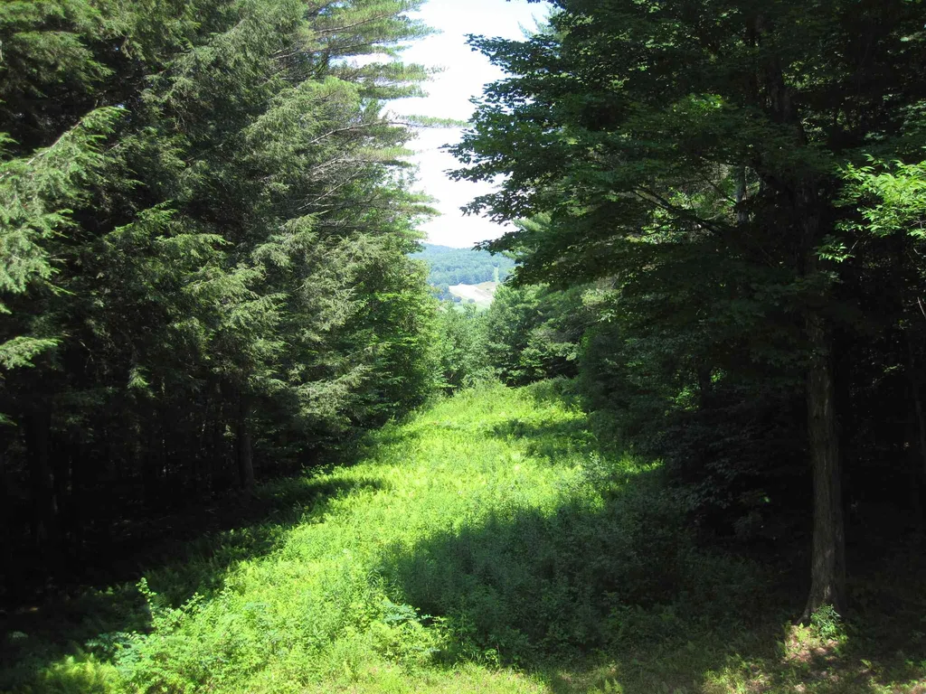 295 Taft Family Road Hartford VT 05059