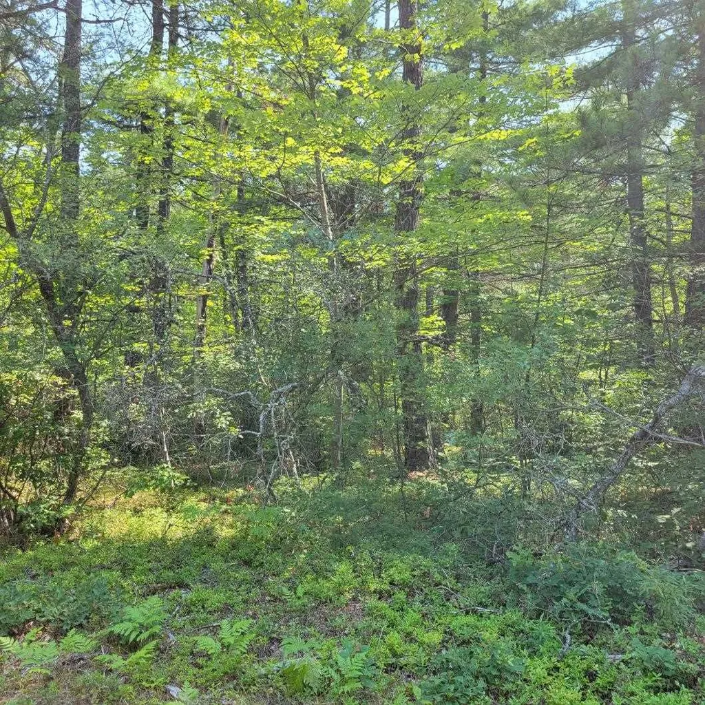 York Lane Freedom NH 03836