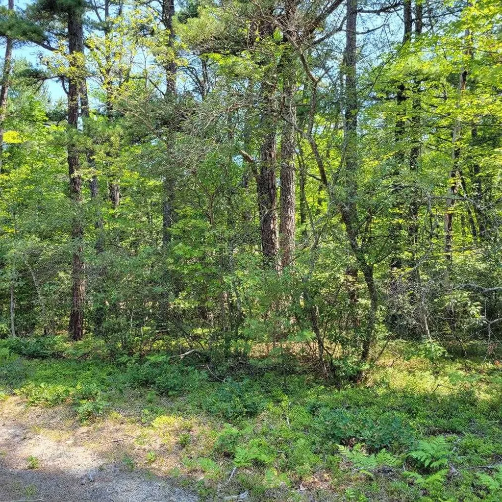York Lane Freedom NH 03836