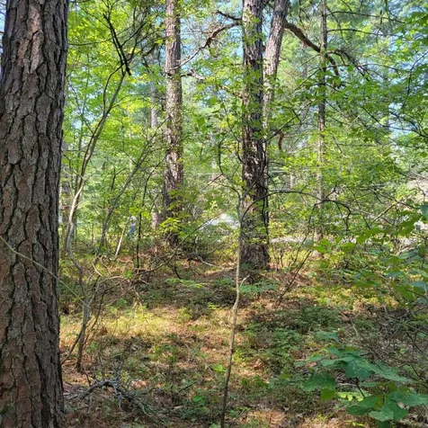 York Lane Freedom NH 03836