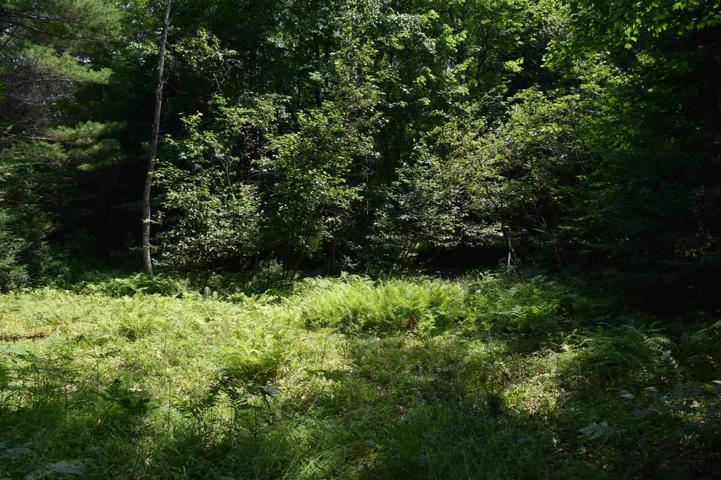 Lot 2 Sunapee Circle Haverhill NH 03765