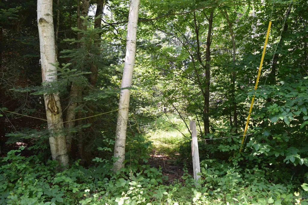 Lot 2 Sunapee Circle Haverhill NH 03765
