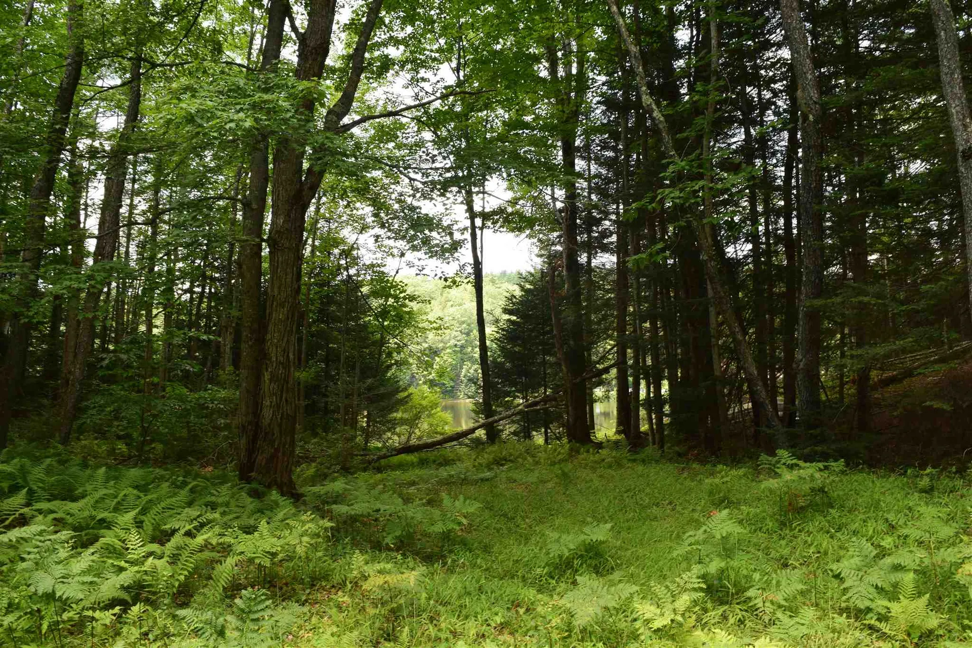 Lot 2 Sunapee Circle Haverhill NH 03765