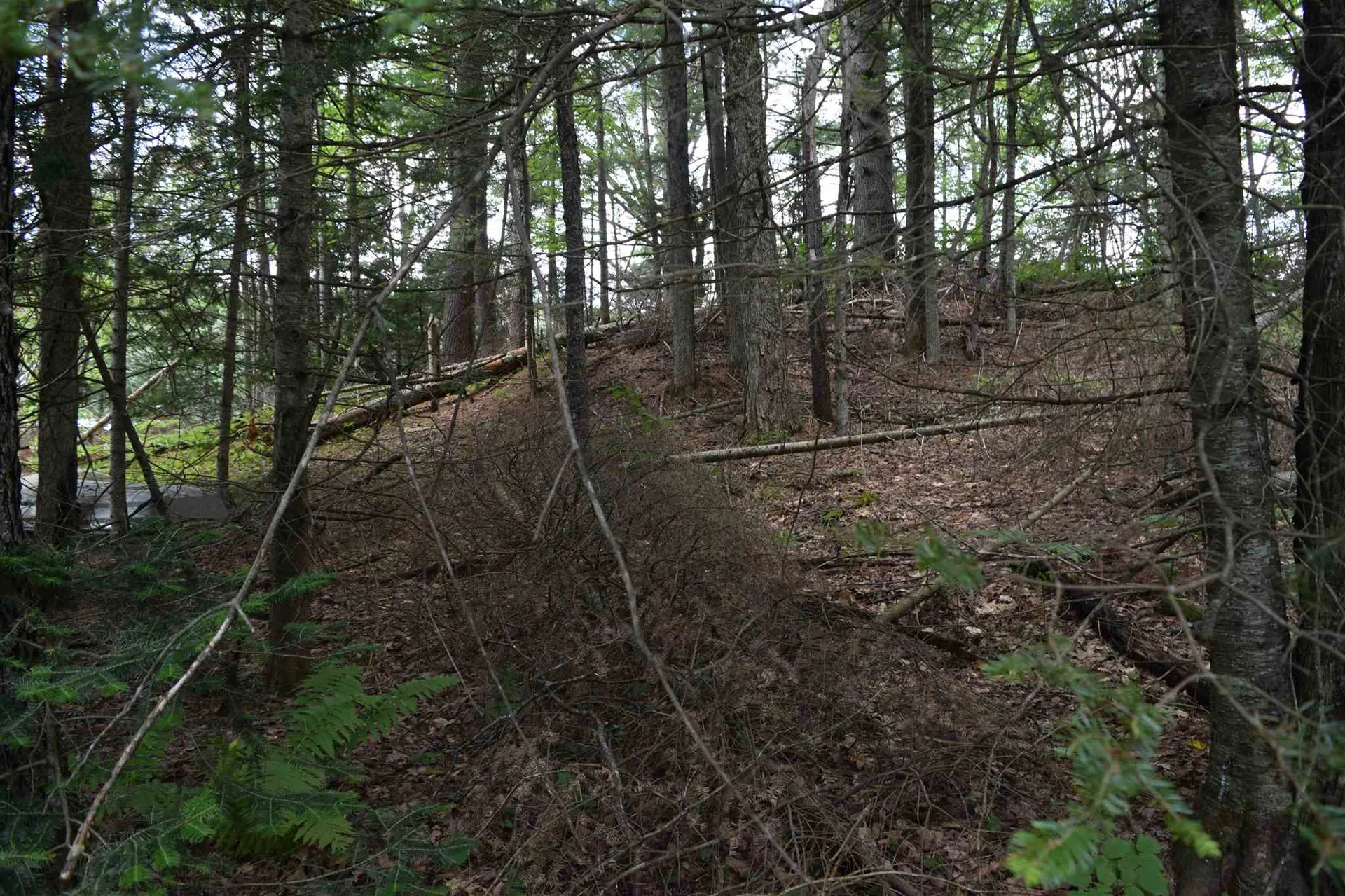Lot 2 Sunapee Circle Haverhill NH 03765
