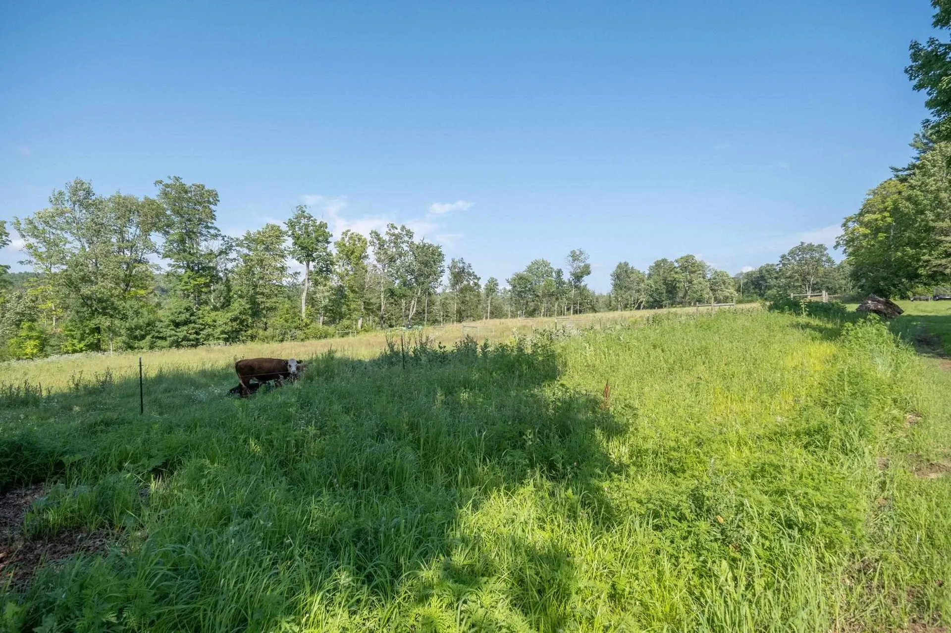 15 Middle Road Tuftonboro NH 03894