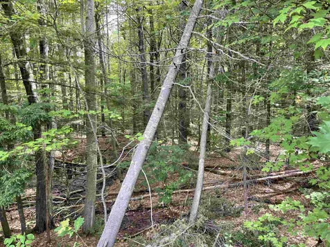 1290 Route 16 Ossipee NH 03814