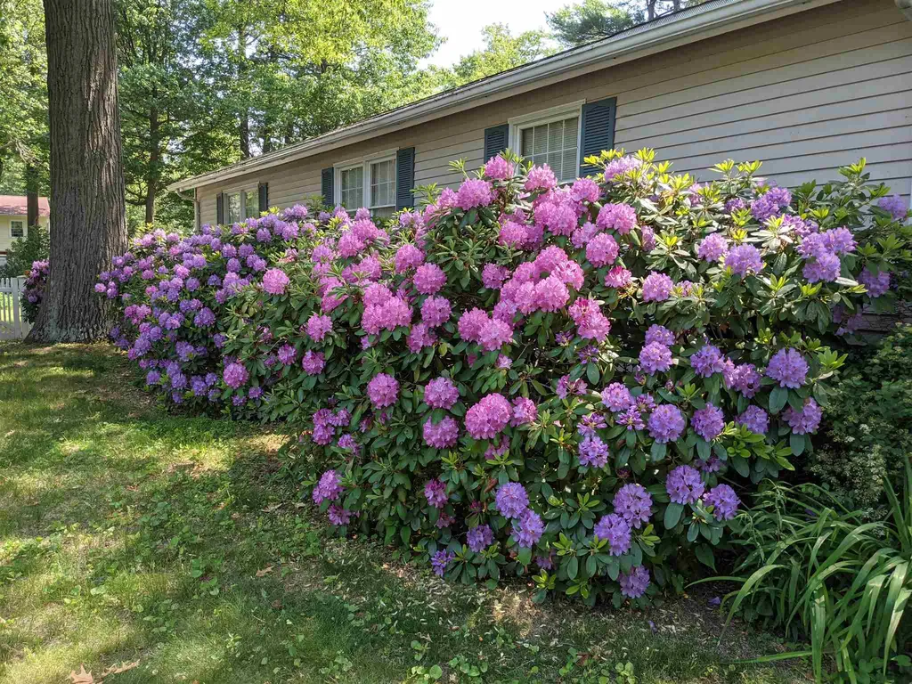 205 Biscayne Heights Colchester VT 05446