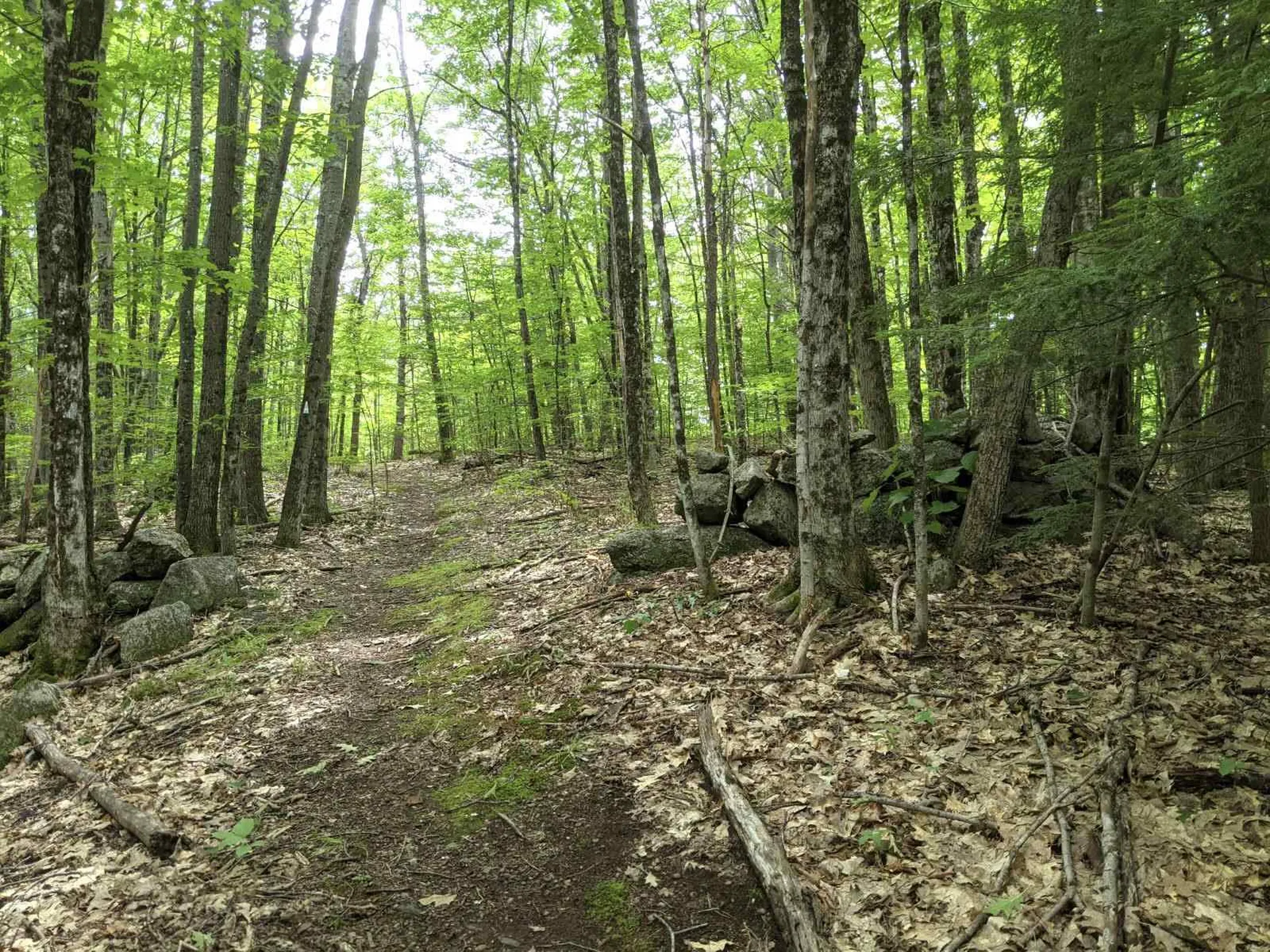 0 North Wilmot Road Wilmot NH 03287