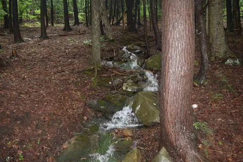 175 Private Driveway Drive Marlboro VT 05344