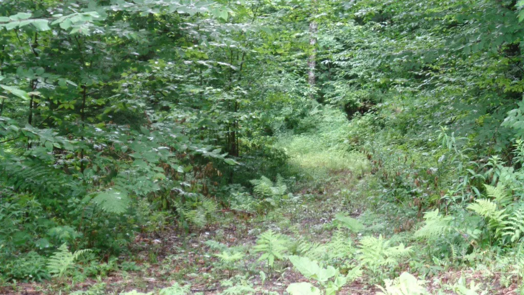 1 Fire Lane #1 Bethel VT 05032
