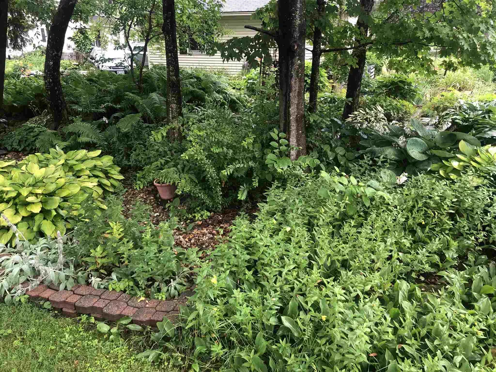 16 Valley Street Keene NH 03431