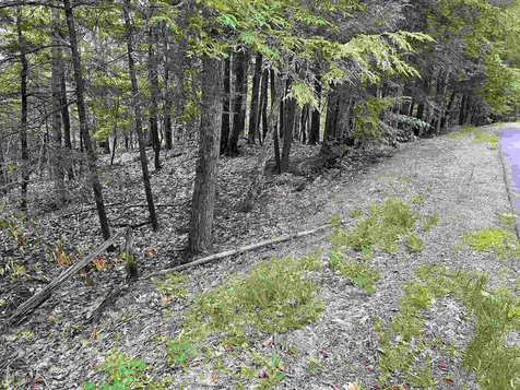 Boulder Drive Dublin NH 03444
