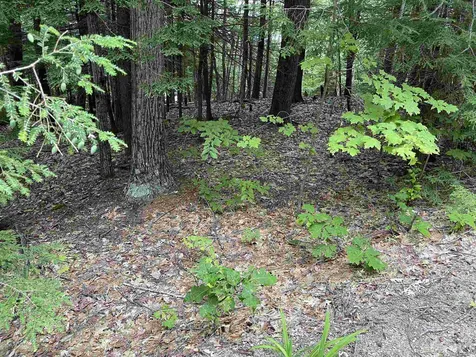 Boulder Drive Dublin NH 03444