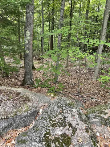 Boulder Drive Dublin NH 03444