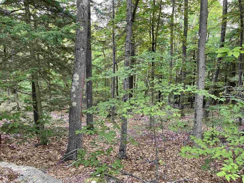 Boulder Drive Dublin NH 03444