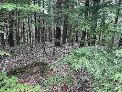Boulder Drive Dublin NH 03444
