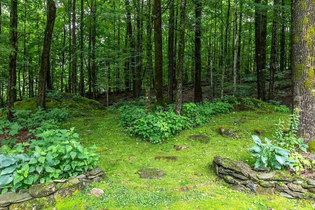 585 Nichols Hill Road Dorset VT 05251