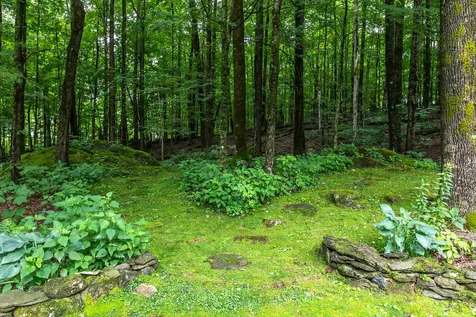 585 Nichols Hill Road Dorset VT 05251