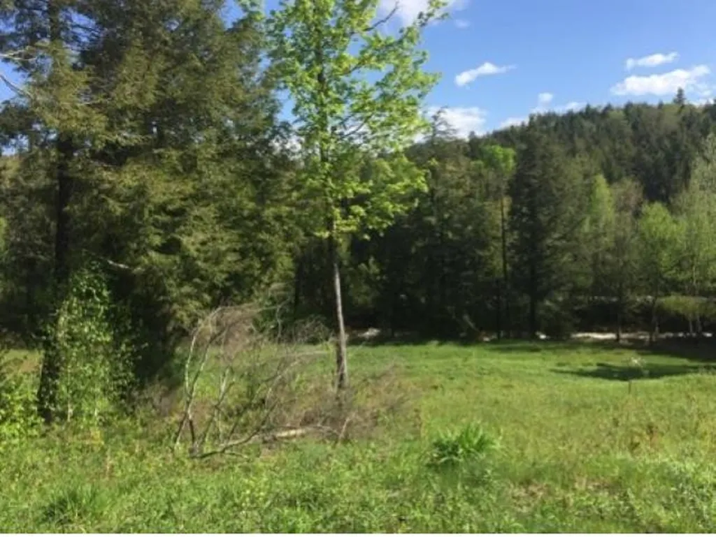 2285 Sterling Valley Road Morristown VT 05661