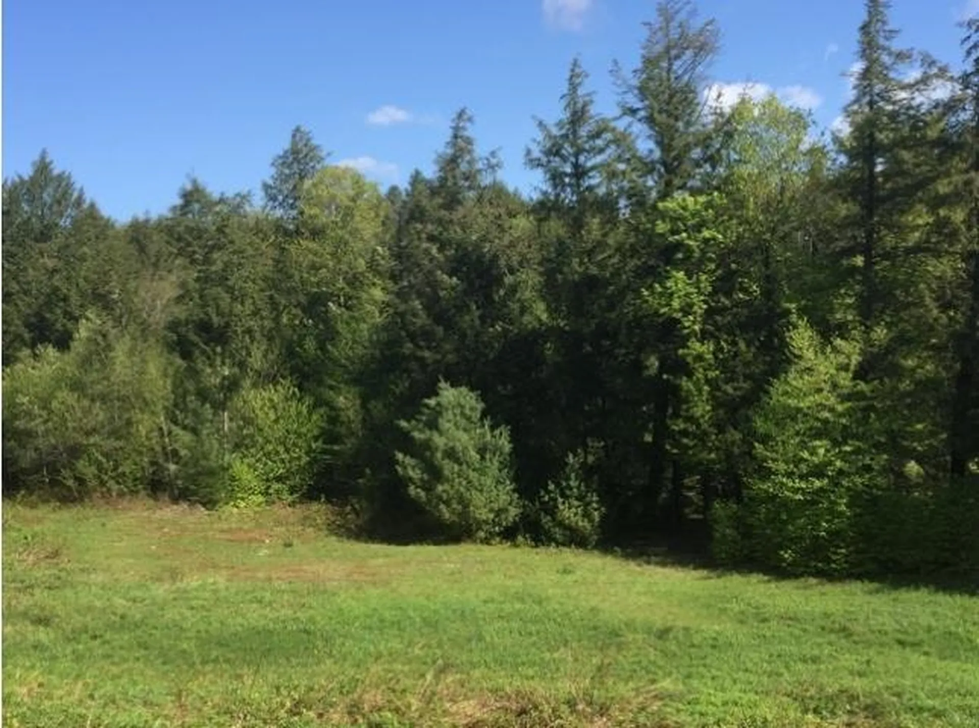 2285 Sterling Valley Road Morristown VT 05661