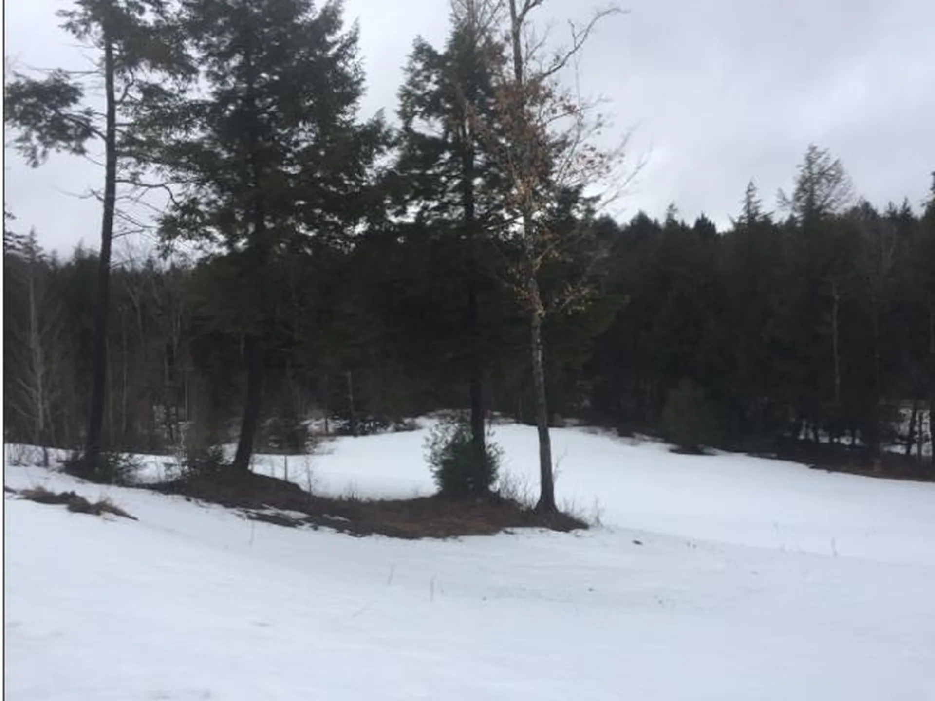 2285 Sterling Valley Road Morristown VT 05661
