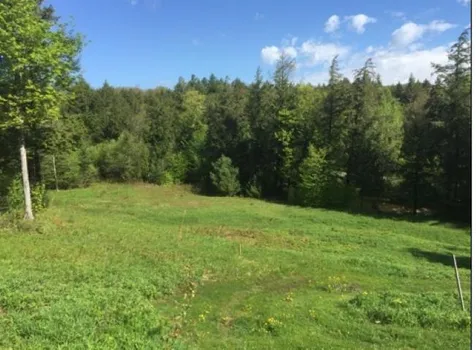 2285 Sterling Valley Road Morristown VT 05661