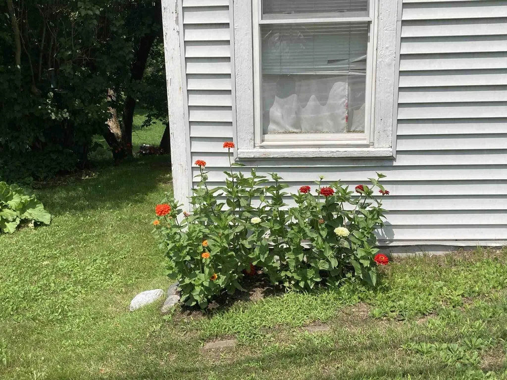 897 East Woodstock Road Woodstock VT 05091