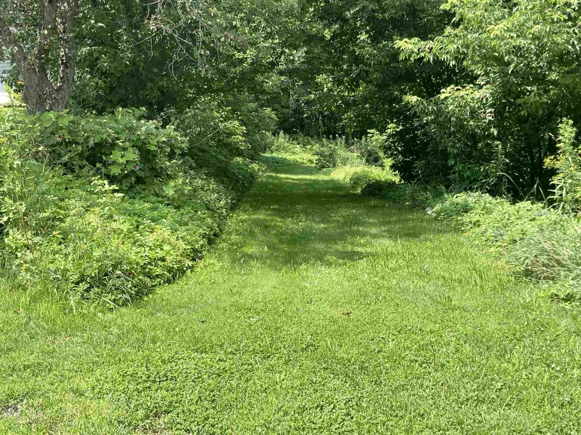 897 East Woodstock Road Woodstock VT 05091