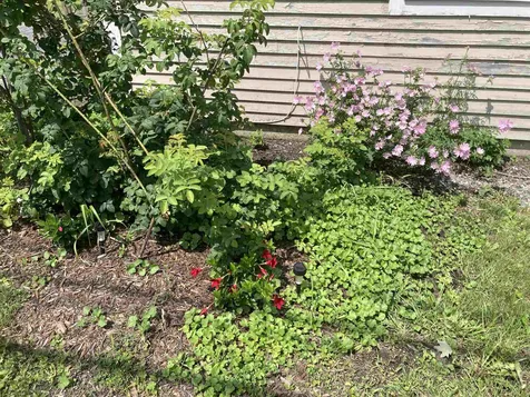 897 East Woodstock Road Woodstock VT 05091
