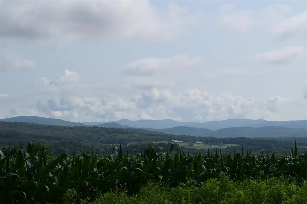 772 North Street New Haven VT 05472