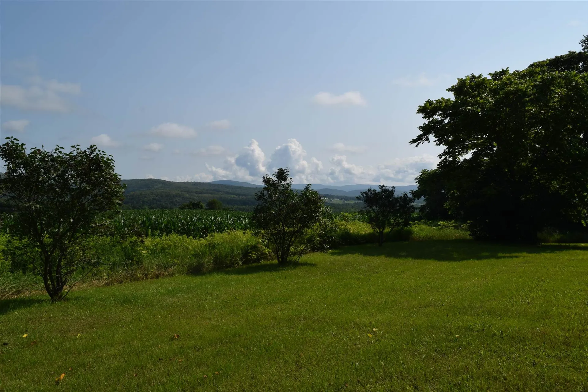 772 North Street New Haven VT 05472