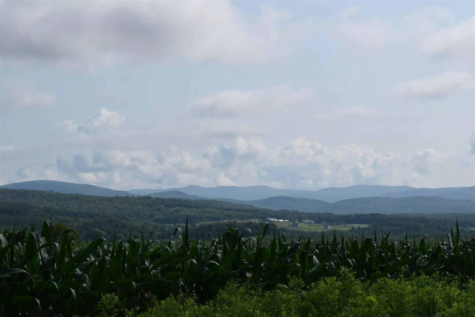 772 North Street New Haven VT 05472