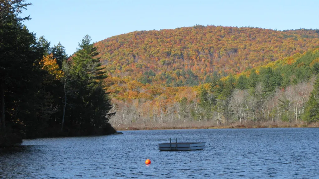 19 Barbara Drive Alton NH 03809