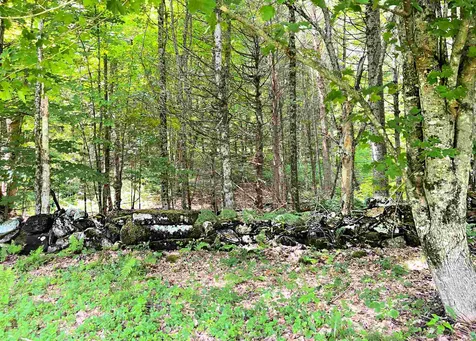 3599 Keiser Pond Road Danville VT 05828