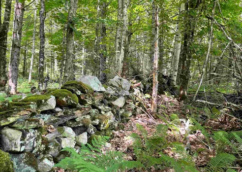 3599 Keiser Pond Road Danville VT 05828