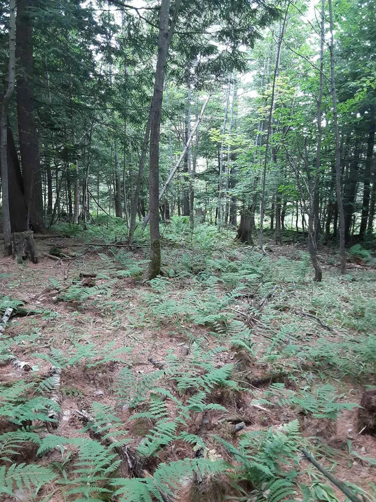 Middle Road Barre Town VT 05641