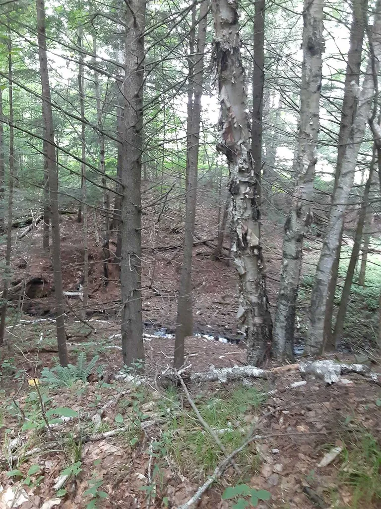 Middle Road Barre Town VT 05641