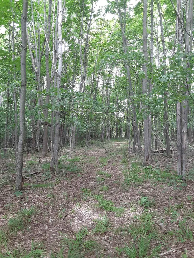 Middle Road Barre Town VT 05641