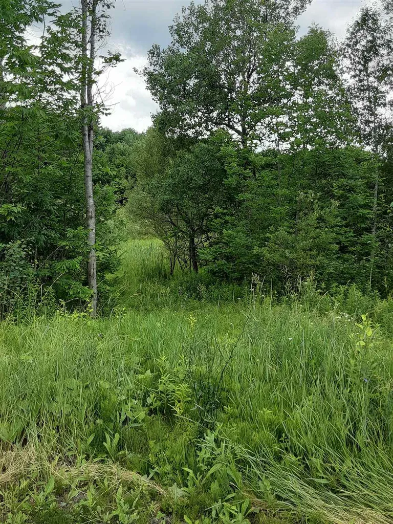 Middle Road Barre Town VT 05641