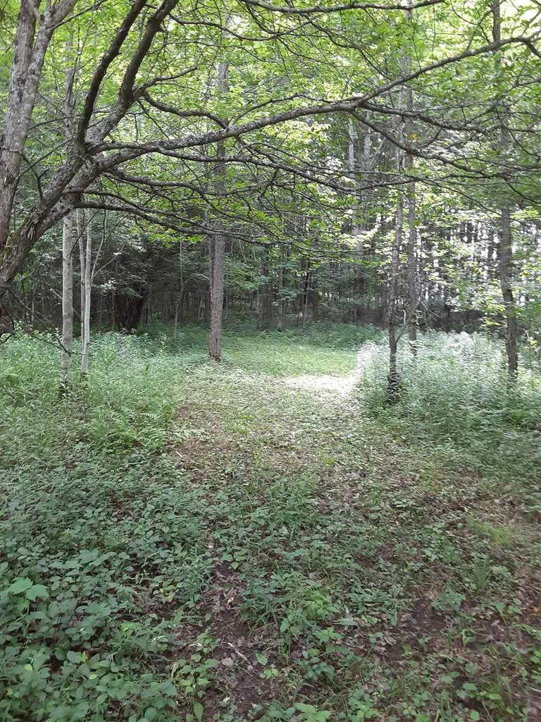 Middle Road Barre Town VT 05641