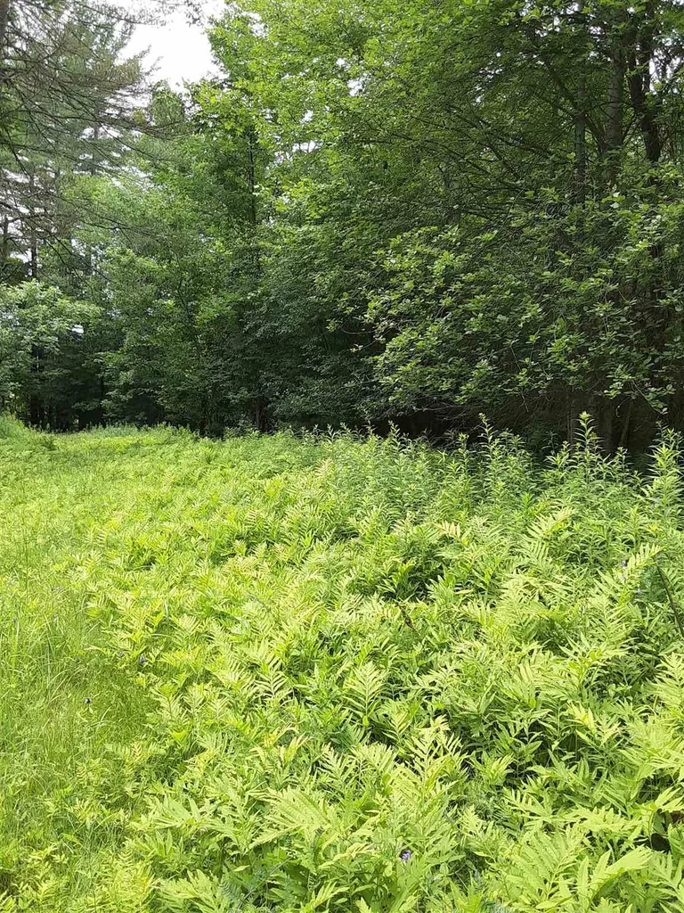 Middle Road Barre Town VT 05641