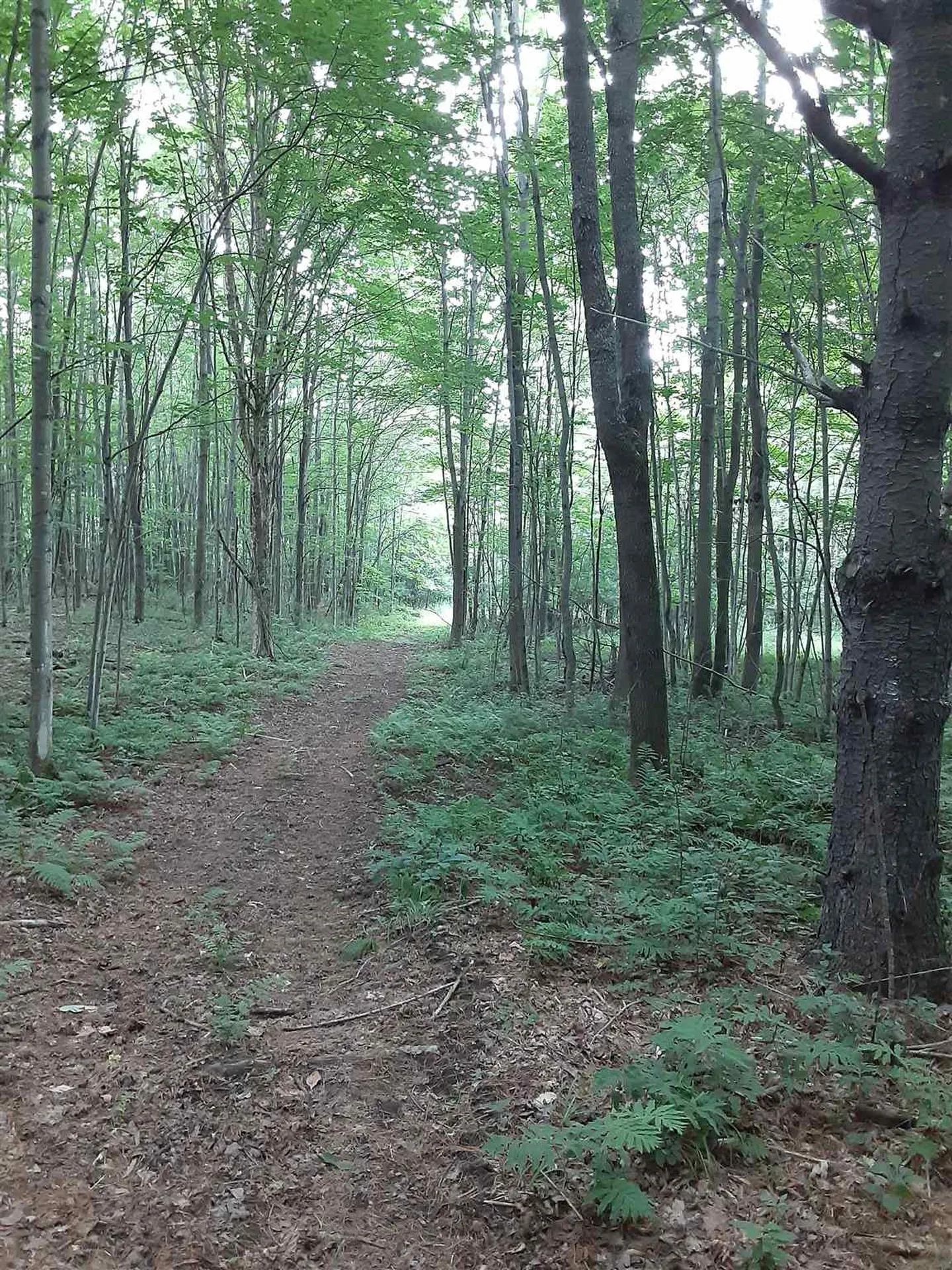 Middle Road Barre Town VT 05641