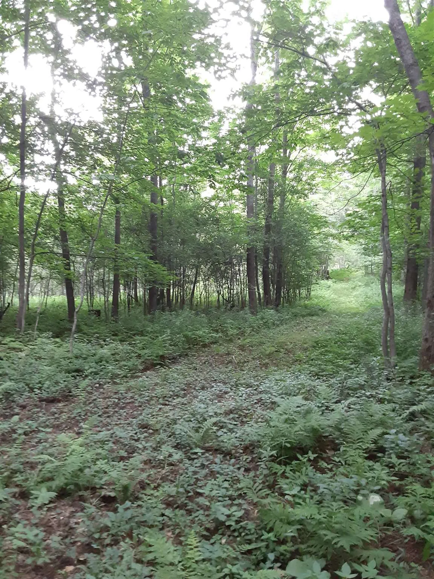 Middle Road Barre Town VT 05641