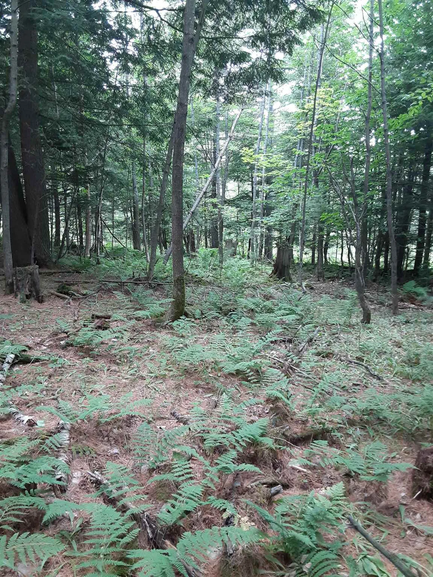 Middle Road Barre Town VT 05641