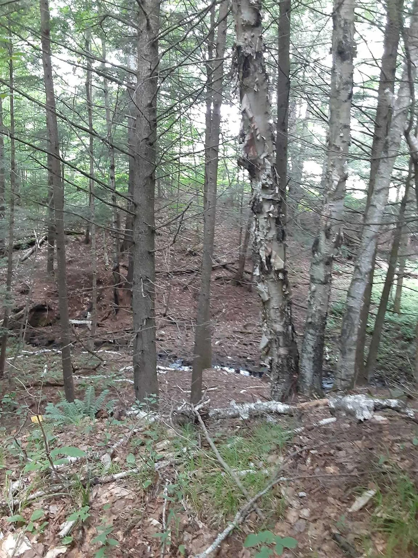 Middle Road Barre Town VT 05641