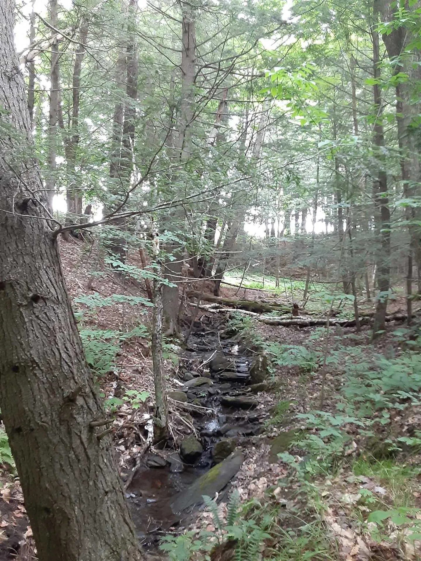 Middle Road Barre Town VT 05641