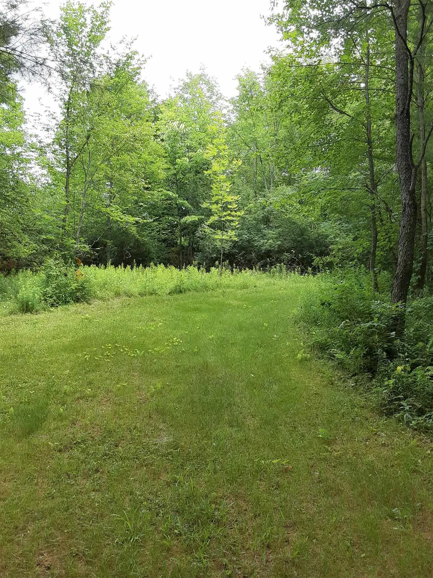 Middle Road Barre Town VT 05641