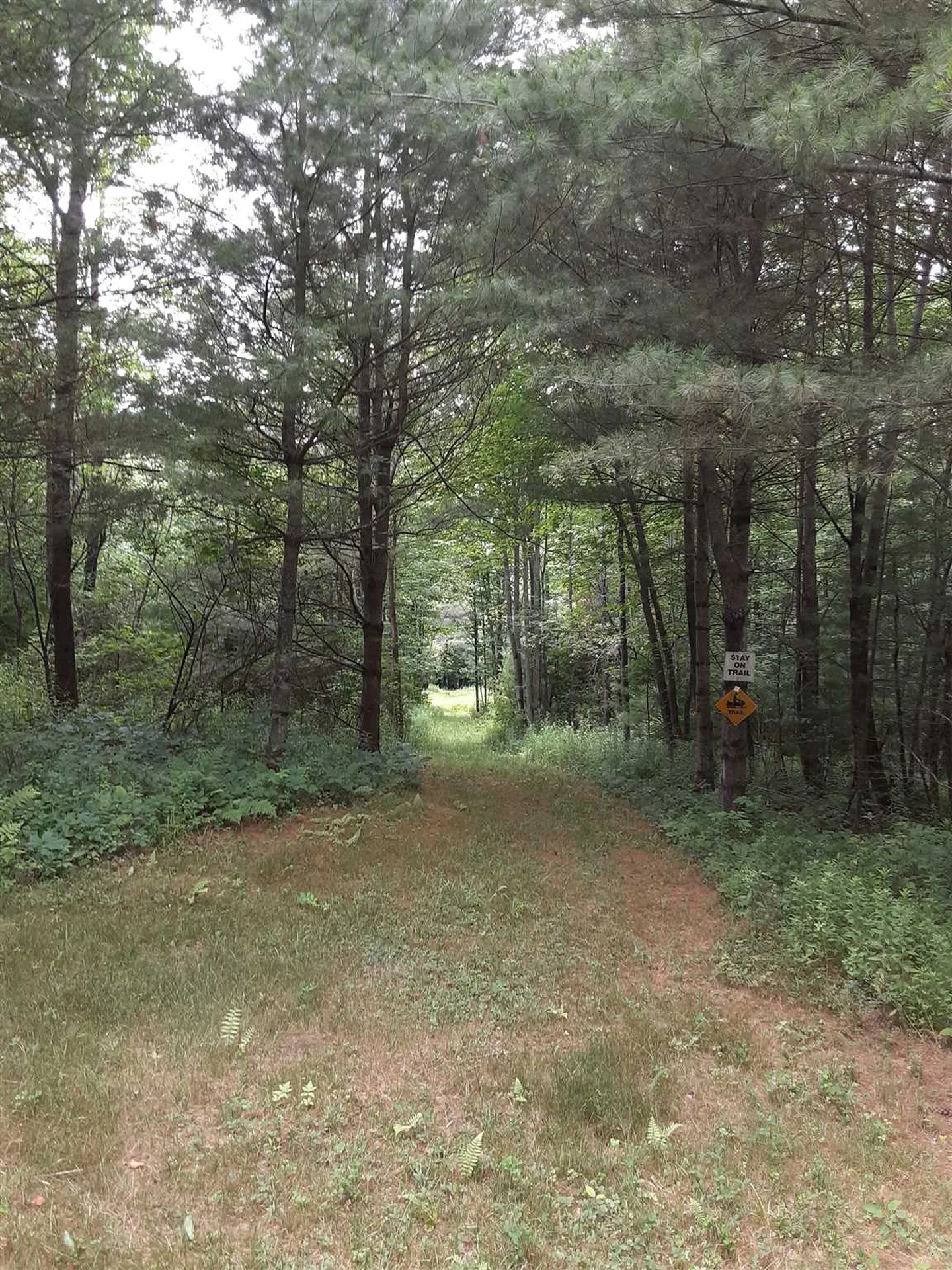 Middle Road Barre Town VT 05641