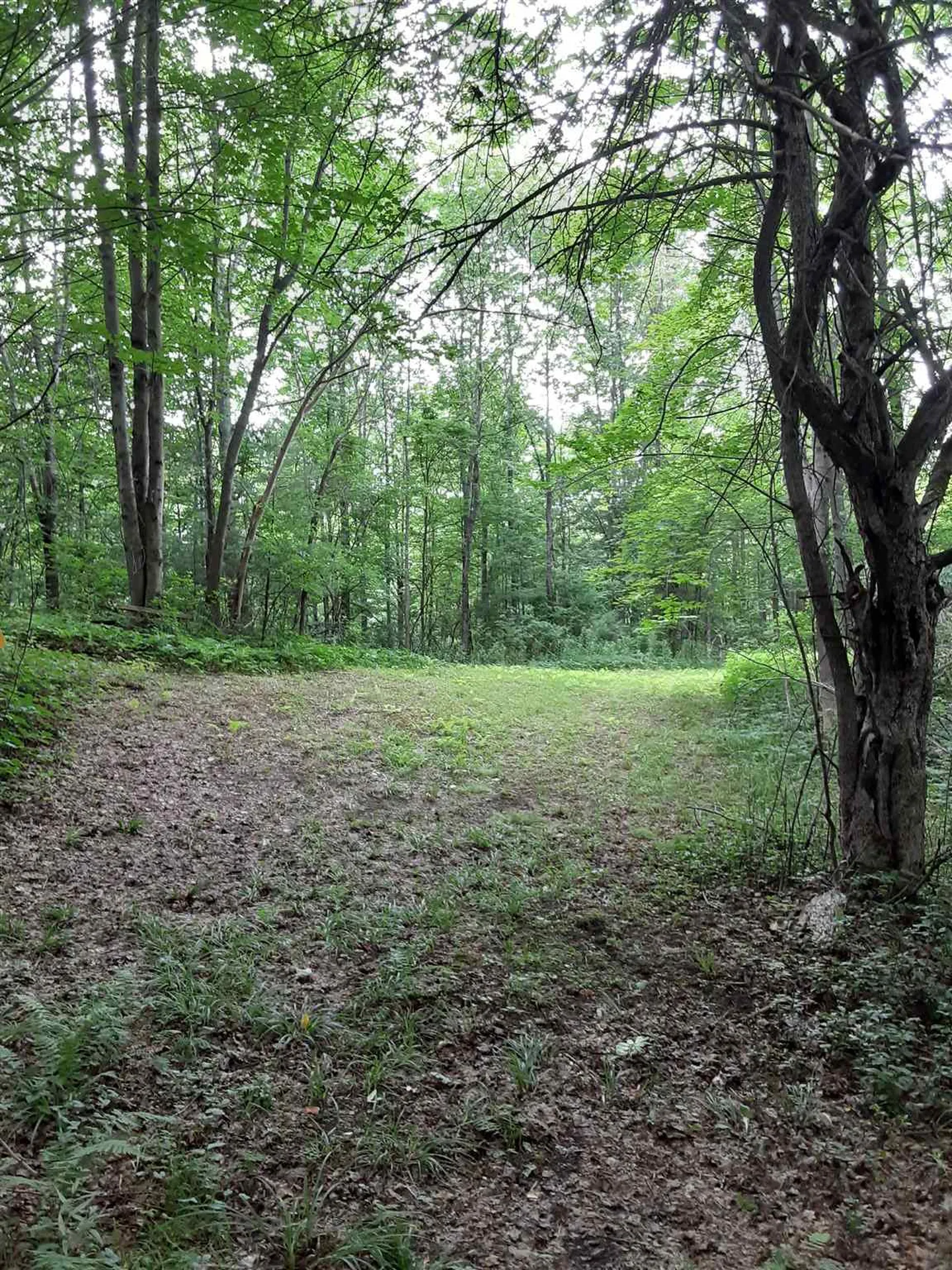 Middle Road Barre Town VT 05641