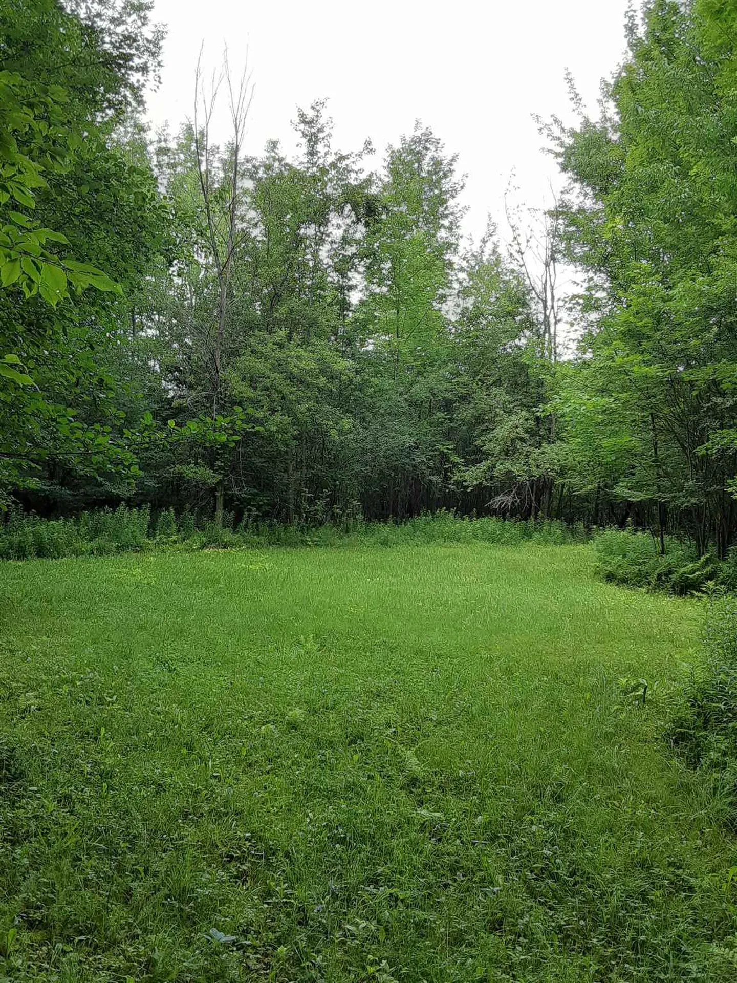 Middle Road Barre Town VT 05641